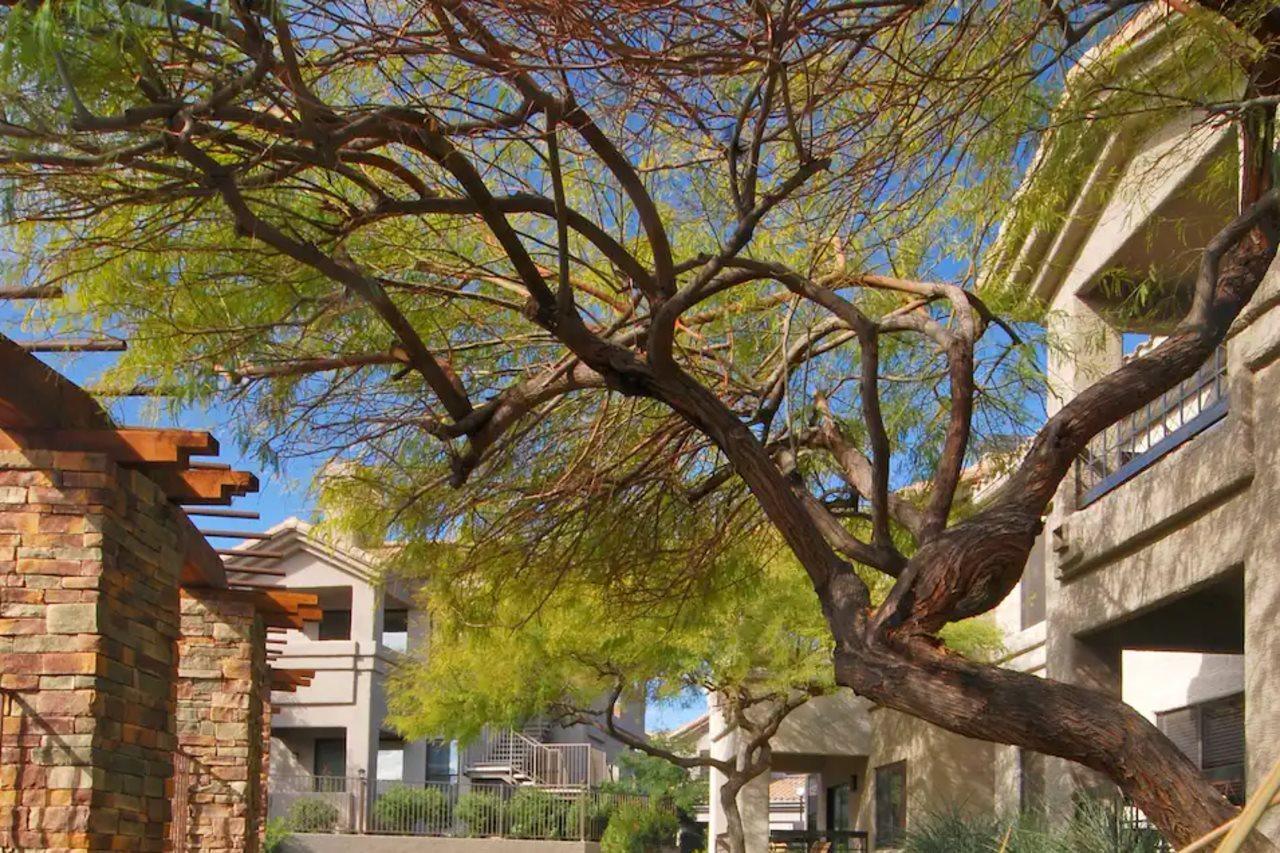 Worldmark Phoenix - South Mountain Preserve Exterior photo